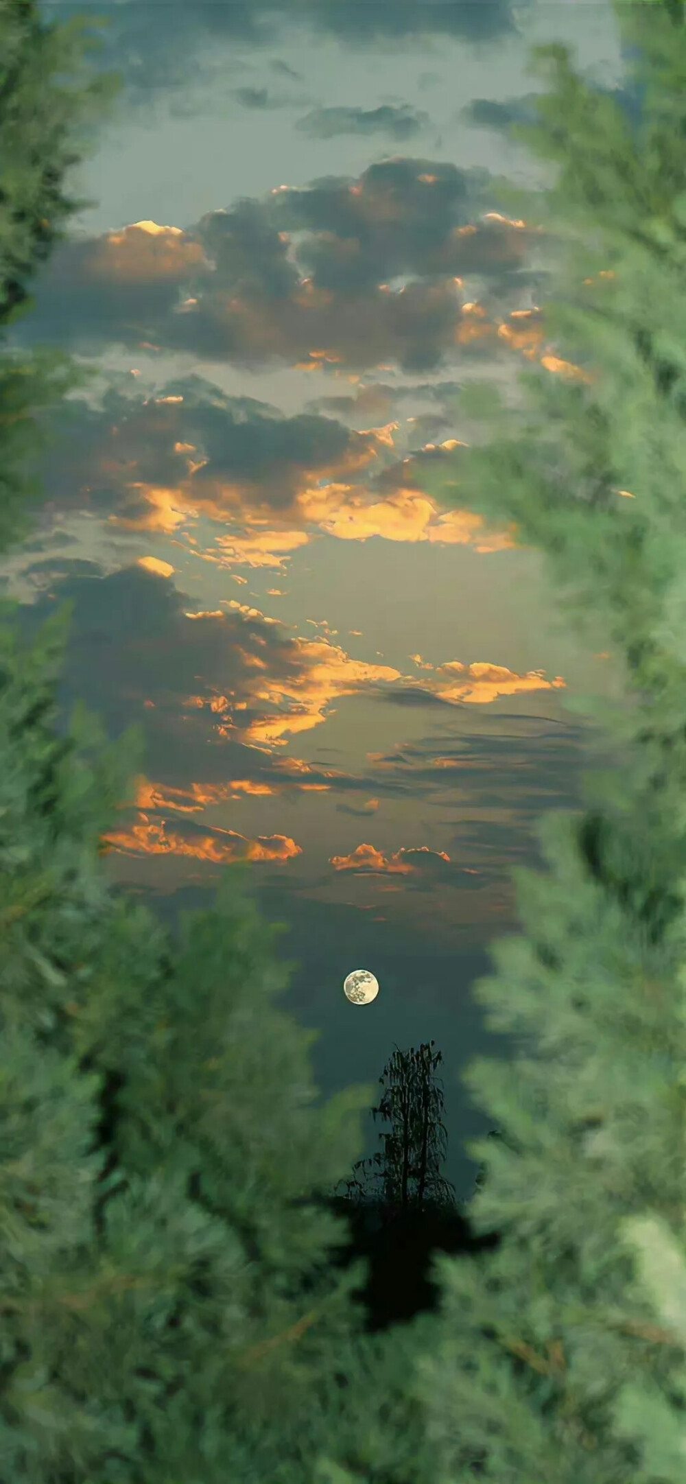 夏日壁纸