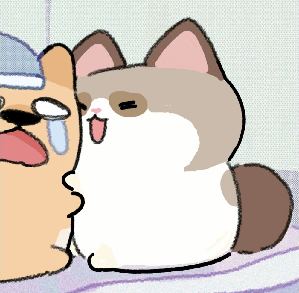 SP小圈玩法图表完全看不懂怎么办?