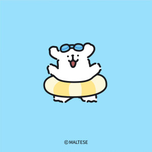 夏日小狗头像~
线条小狗马尔济斯头像
（图源微博@线条小狗Maltese）