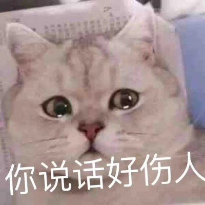 请get今日份萌宠表情包√