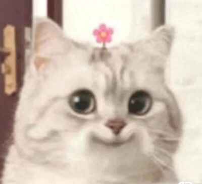 请get今日份萌宠表情包√