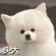 请get今日份萌宠表情包√