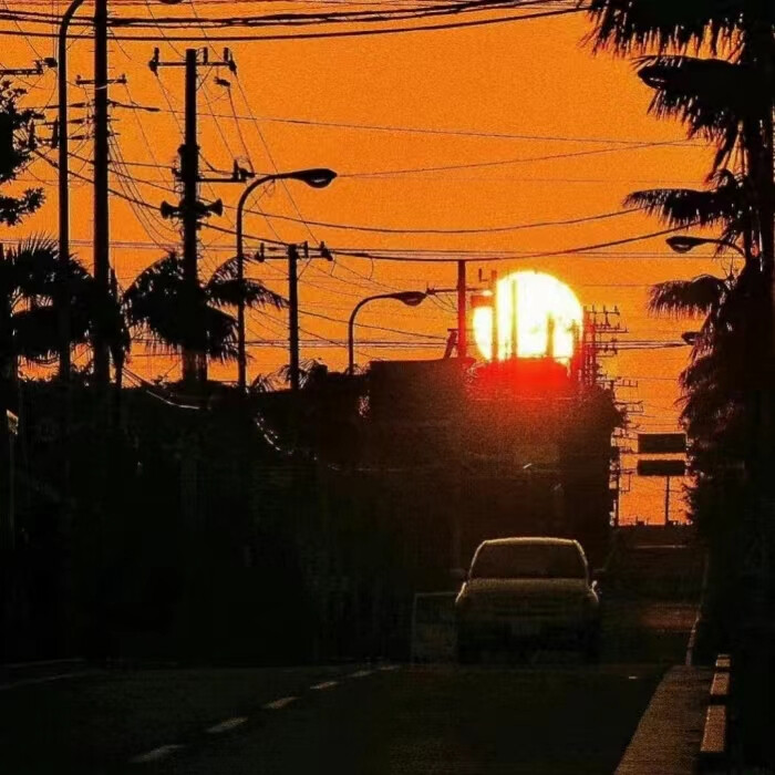 当太阳到达最高点，影子就会消失，所有的夜间动物都无处遁形，我对你的爱也无处遁形。