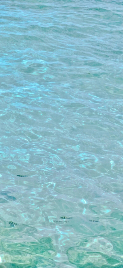 海面 壁纸