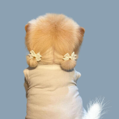 太可爱了你啊啊啊啊啊啊啊