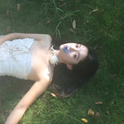 慣犯案