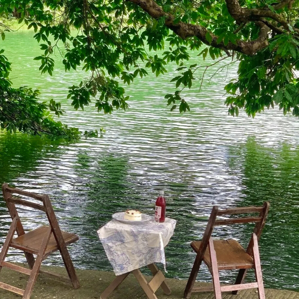 我支吾着向你描述巴黎，曾拥有的炙热的愚蠢的夏日