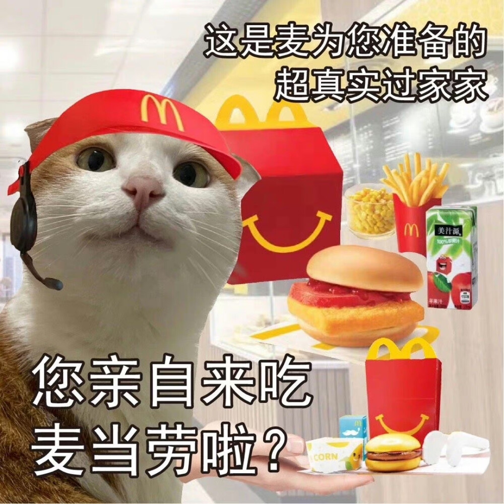 麦当劳 猫咪表情包