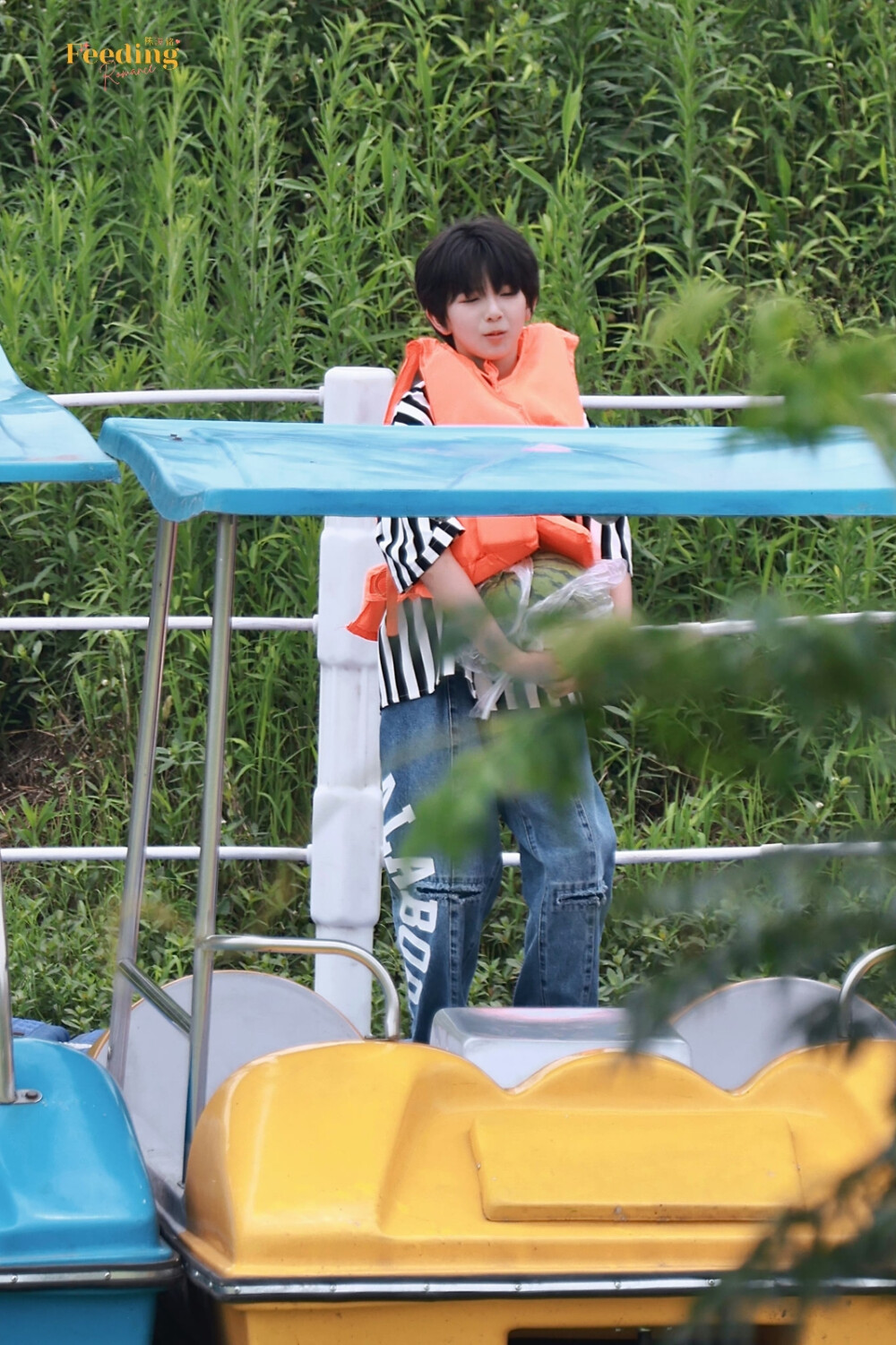 TF家族_陈浚铭（@FeedingRomance_陈浚铭）