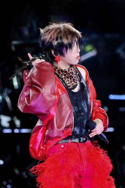 这个红色的花谁不喜欢呢