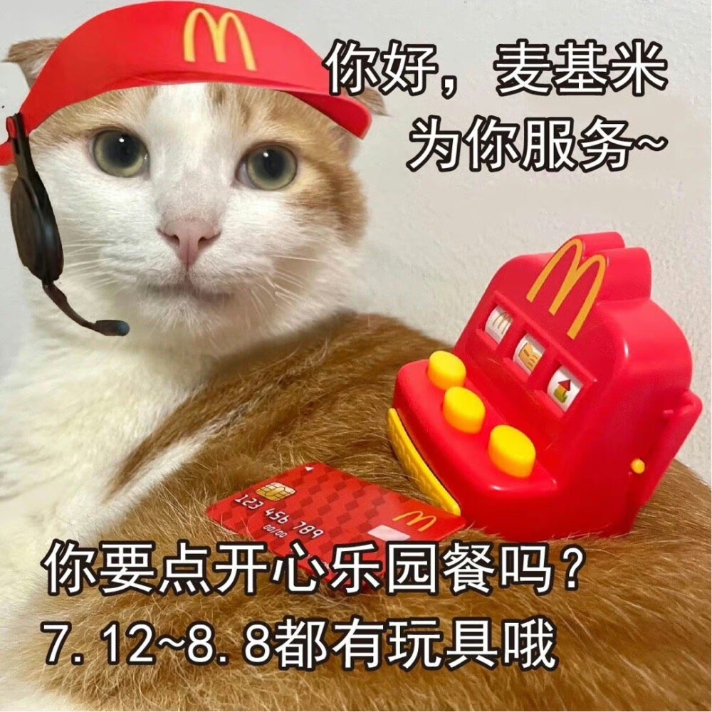 麦当劳 猫咪表情包