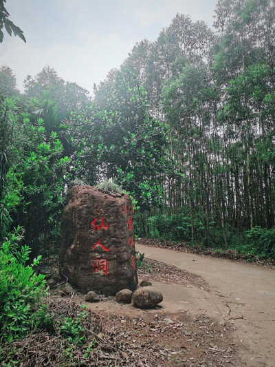 风景