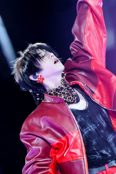 这个红色的花谁不喜欢呢