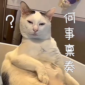 小猫沙雕图图片