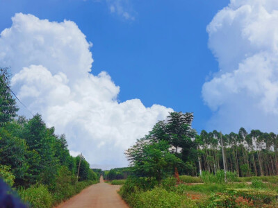 风景