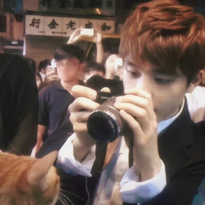 EXO 都暻秀 D.O.