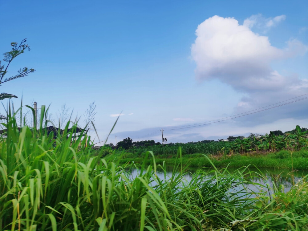 风景