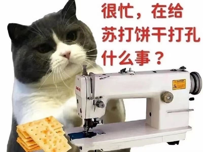 沙雕猫咪表情包