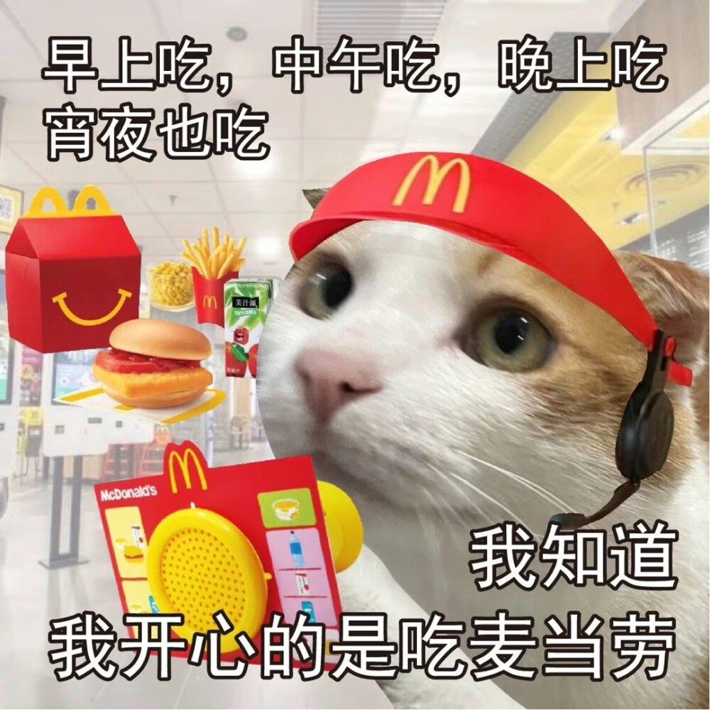 麦当劳 猫咪表情包