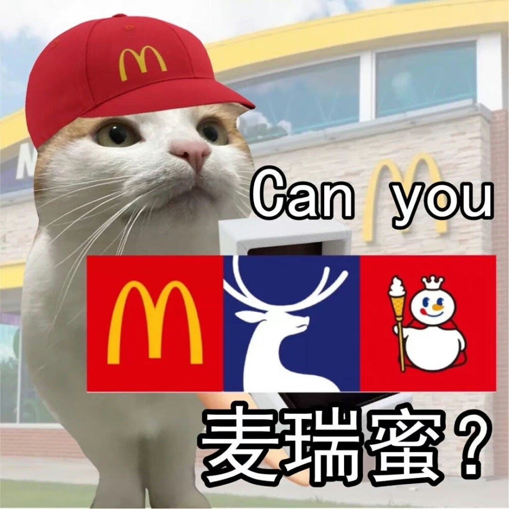 麦当劳 猫咪表情包