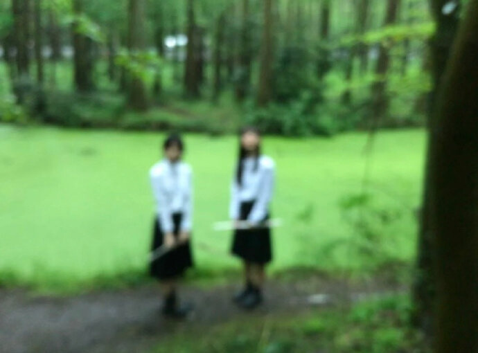 语言