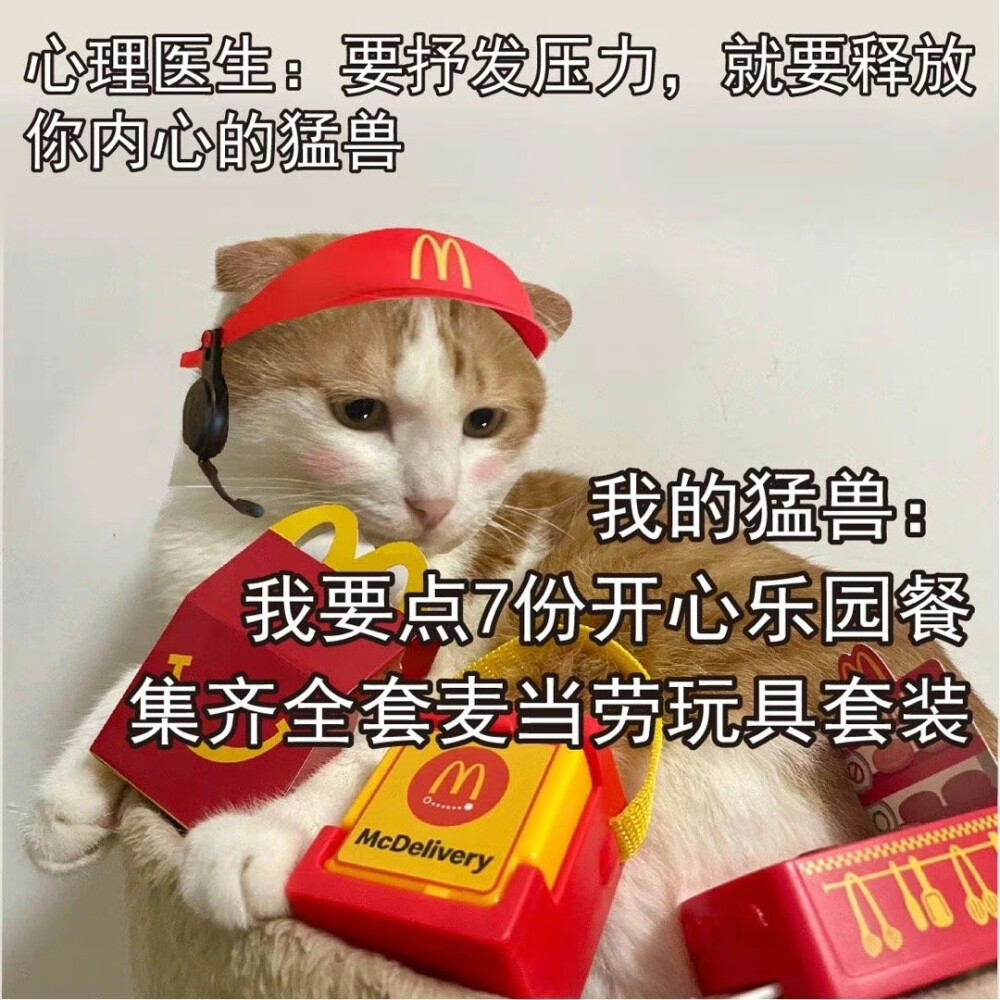 麦当劳 猫咪表情包