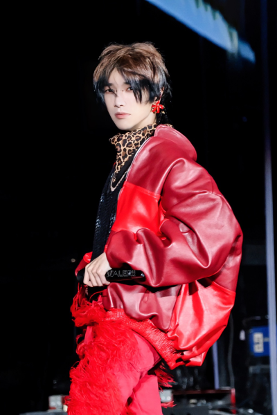 这个红色的花谁不喜欢呢