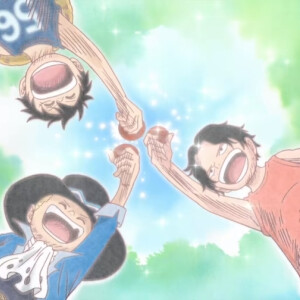 水管三兄弟 海贼王