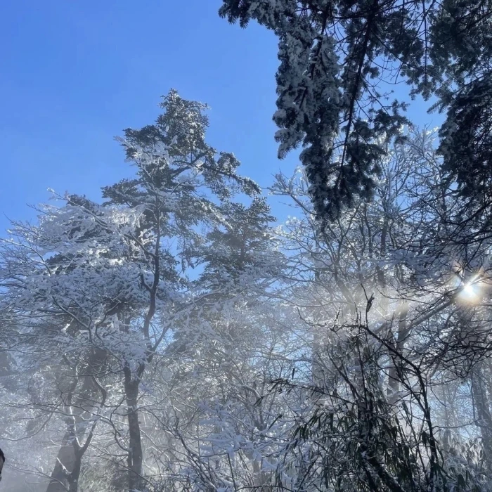 张予曦套图可二改6张（别二传-_-||）
别收藏多图我会删，收藏专辑去找谢谢.ᐟ.ᐟ