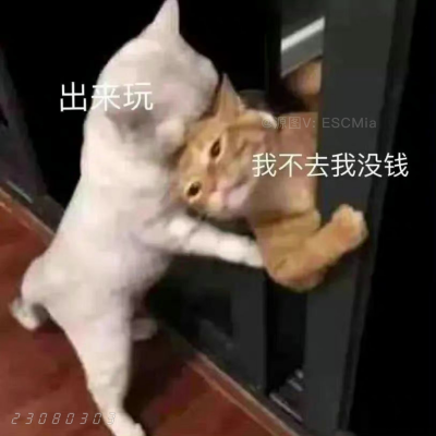 Share｜猫咪搞笑表情包
-
爱情经不起等待，叫我宝贝就现在