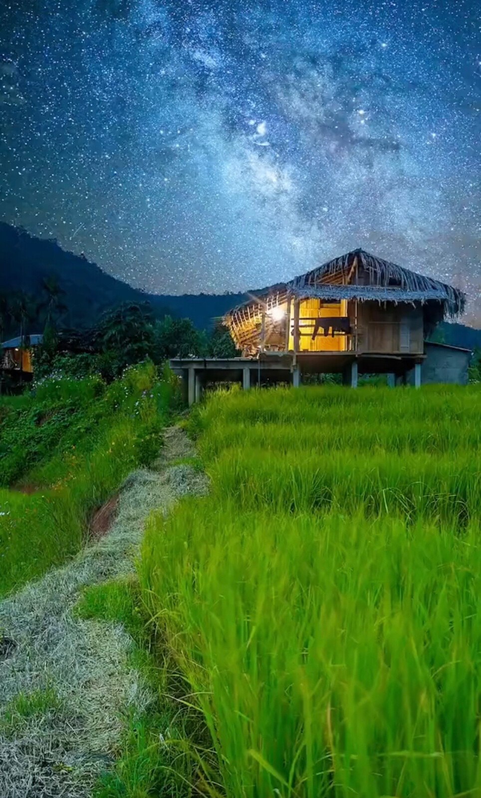 东出盘门刮眼明，萧萧疎雨更阴晴。 绿杨白鹭俱自得，近水远山皆有情。 