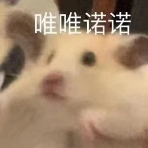 表情包