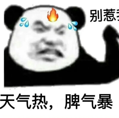 表情包更新啦