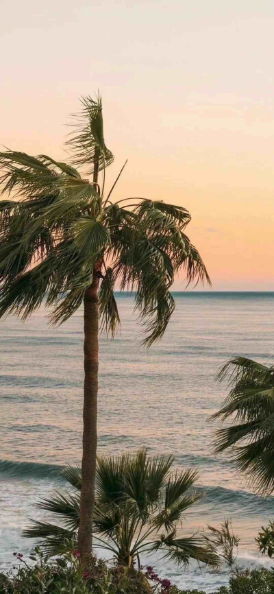 手机壁纸风景图