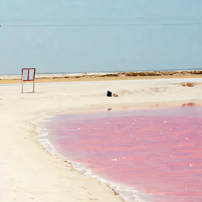 眼睛像下了场晴日雨，泛滥着温和的水汽。“什么时候去伦敦淋雨?"