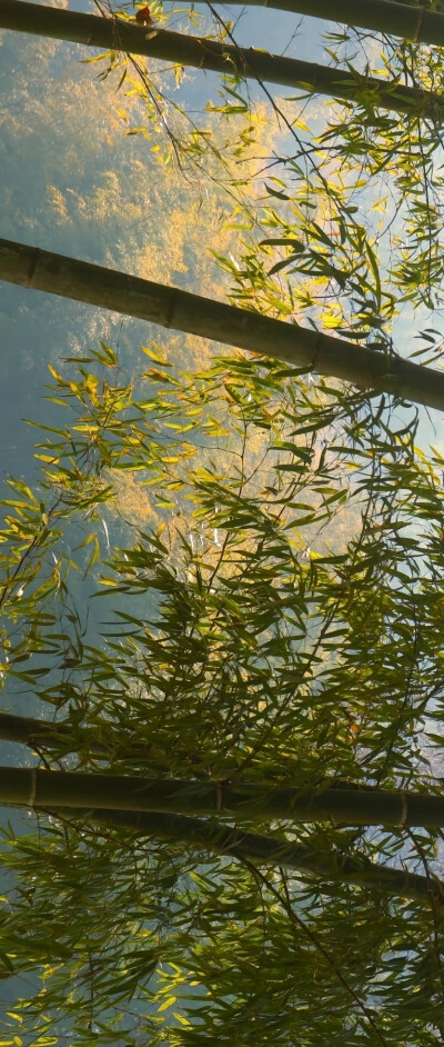 顺其自然