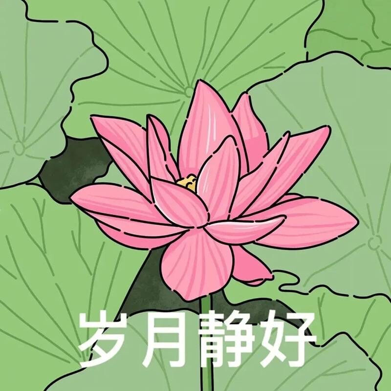 荷花