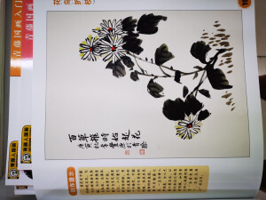 国画书
