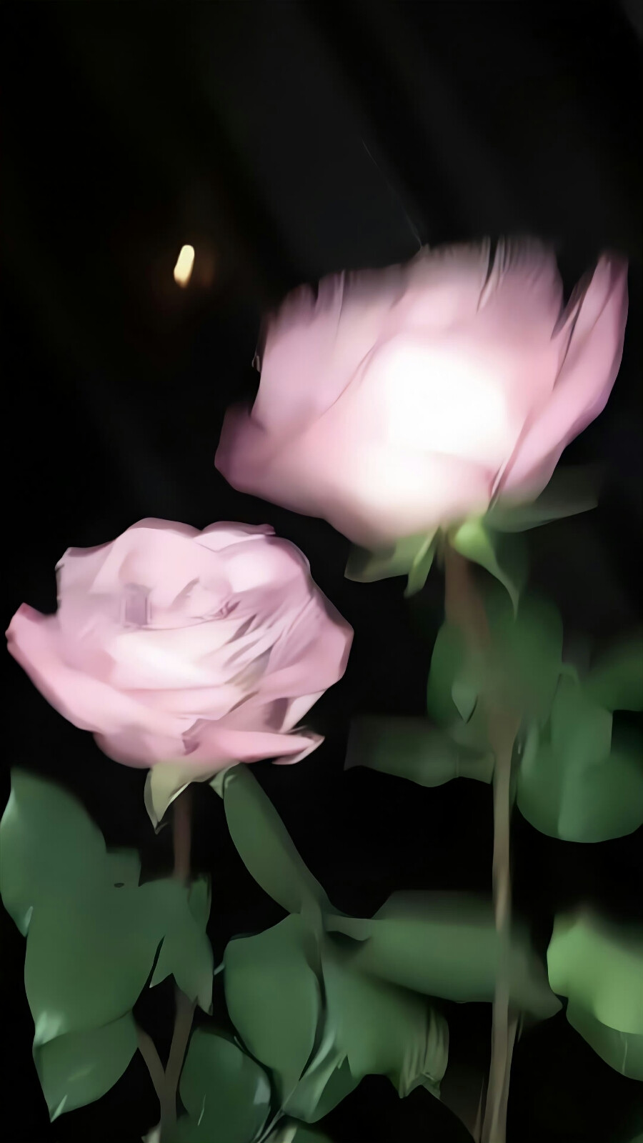 夏日降温•*'ˇ<ˇ
#小清新壁纸#