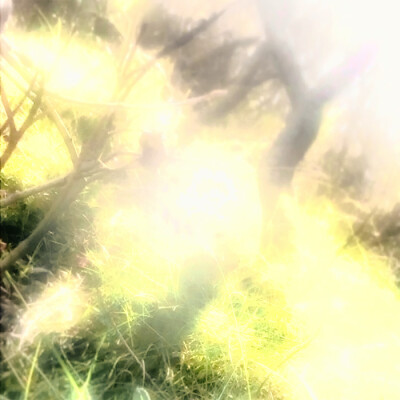 梦中他说夏天太闷热不拥抱，可我知夏天结束人已散