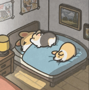 动动动