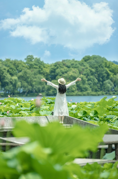 夏天撞上南墙 净慈寺的墙
湖山滚烫 荷风微醺钱塘
