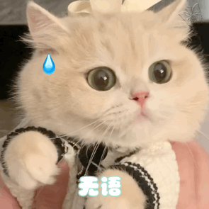 表情包