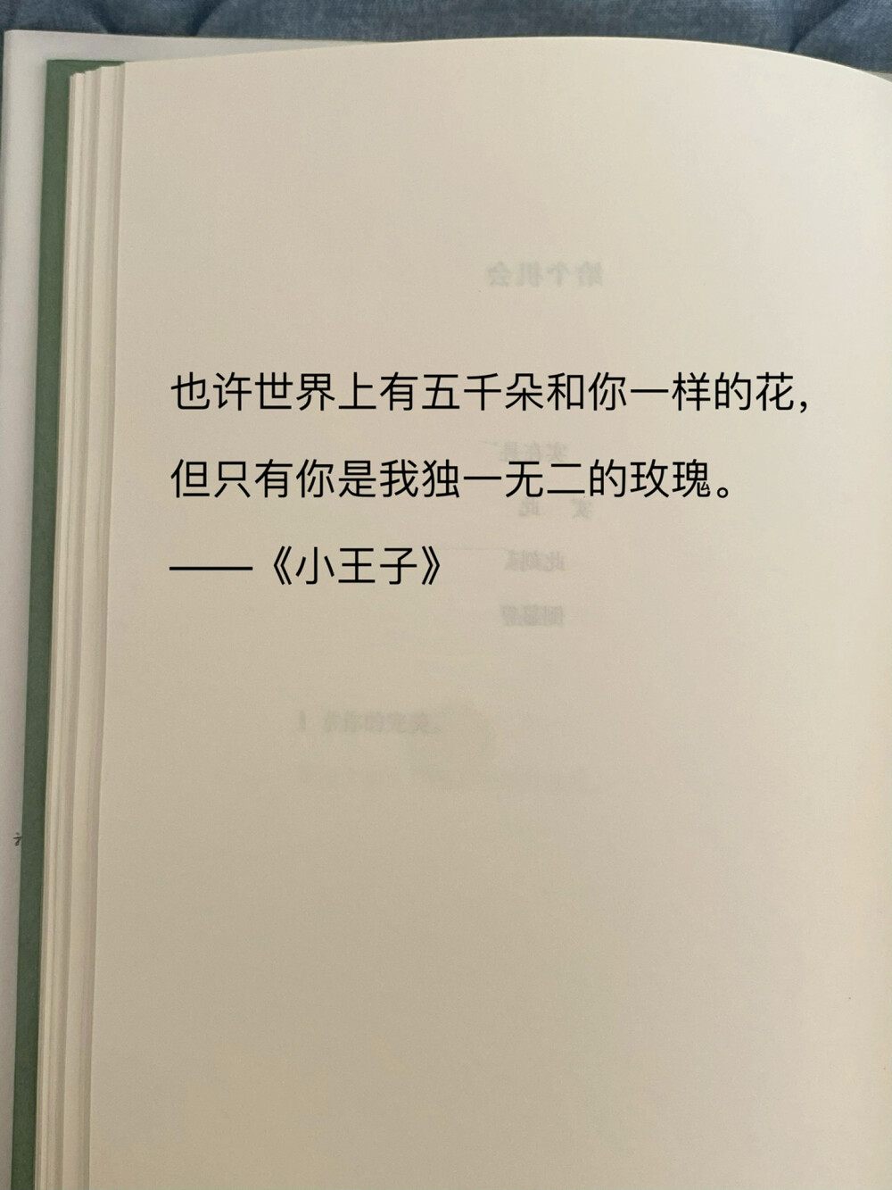 玫瑰偏爱的浪漫