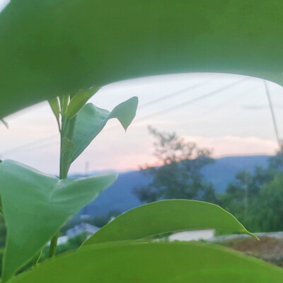 风景照