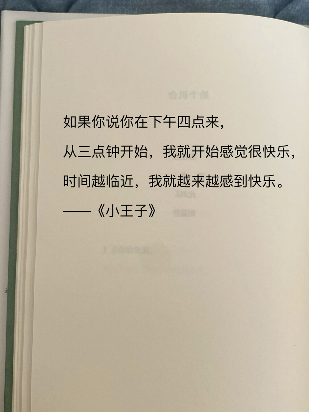 玫瑰偏爱的浪漫