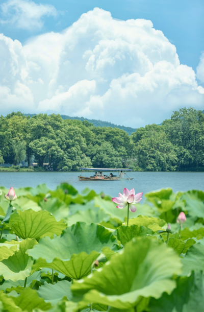 夏天撞上南墙 净慈寺的墙
湖山滚烫 荷风微醺钱塘
