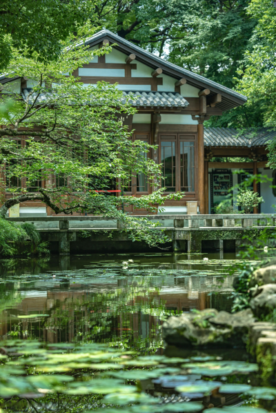 夏天撞上南墙 净慈寺的墙
湖山滚烫 荷风微醺钱塘
