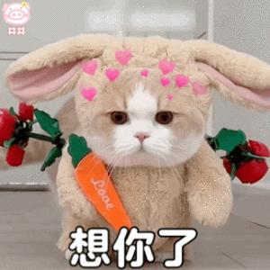 表情包