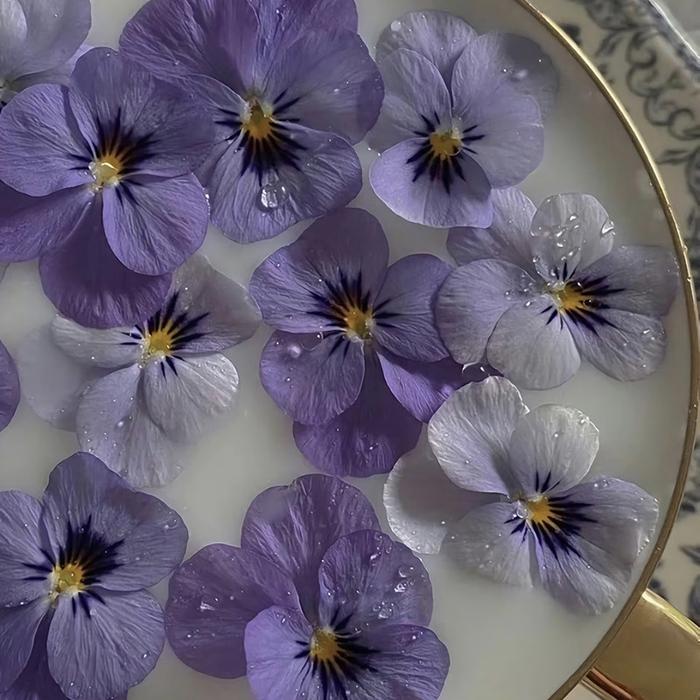 把屏幕调亮，你会看到不一样的景象…
你说紫色是浪漫特立独行的颜色…
紫色背景图 壁纸
侵权删